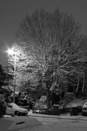 Snowy street at midnight.